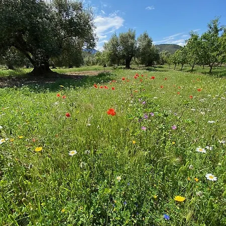 Wonderful Comfortable In The Burga Valley * Rasquera